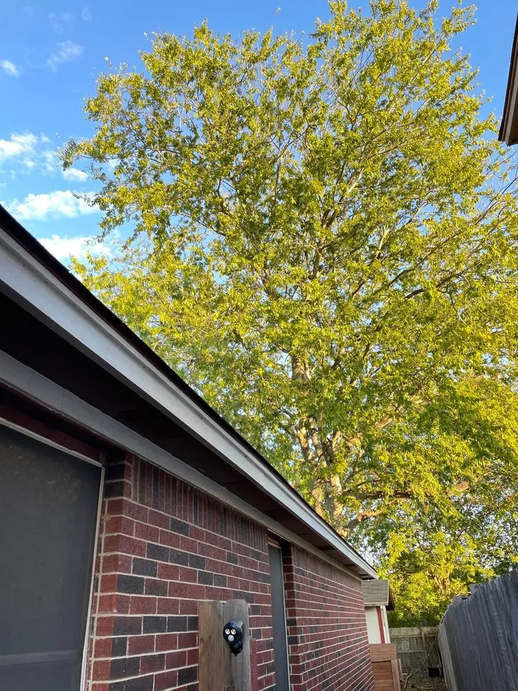 Trusted landscaping services in Austin, TX by Nava Tree Service