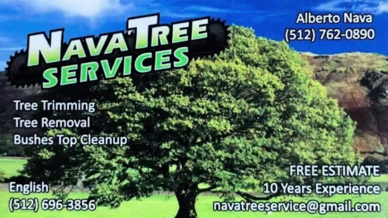 Professional yard cleanup service for beautiful yards across Austin, TX - Nava Tree Service