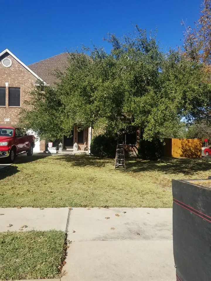 Custom landscaping services in Austin, TX - Nava Tree Service