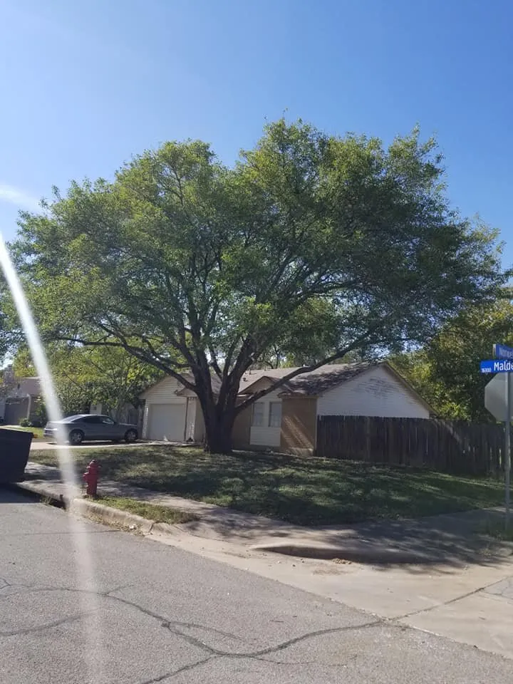 Custom residential landscaping in Austin, TX by Nava Tree Service