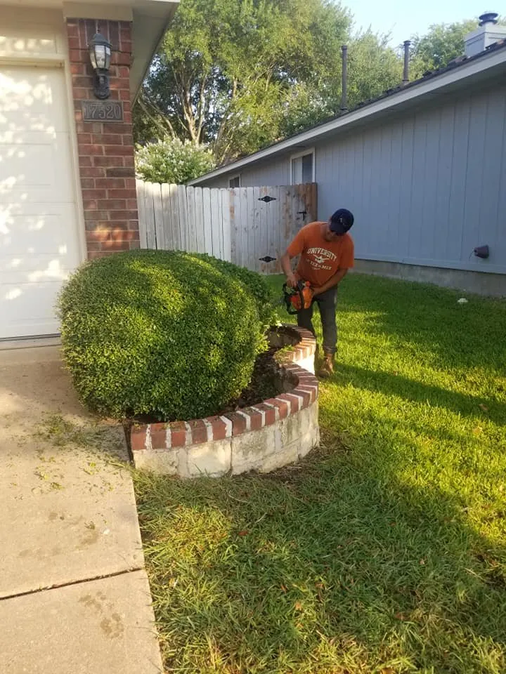 Top-rated garden landscaping experts serving Austin, TX - Nava Tree Service