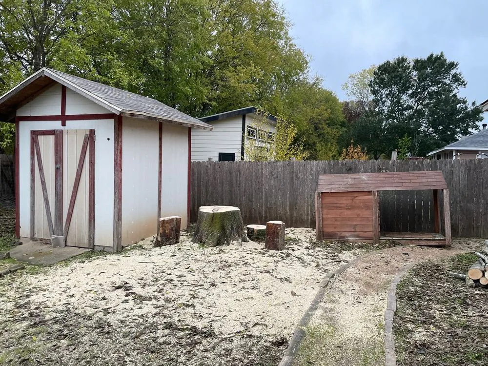 Professional outdoor landscaping for outdoor upgrades in Austin, TX by Nava Tree Service