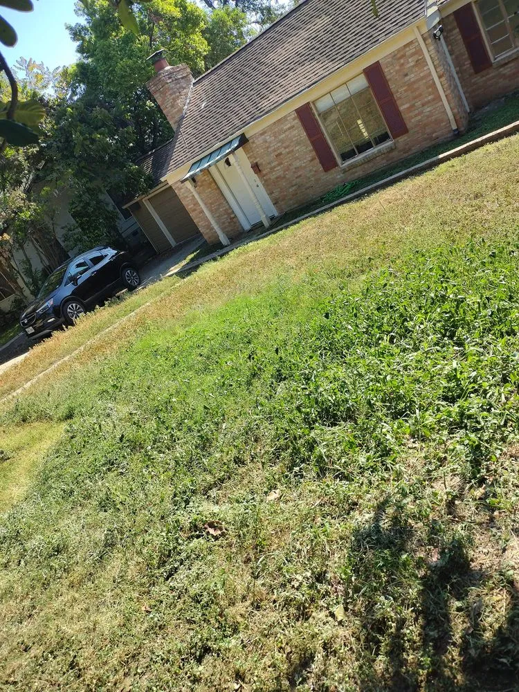 Custom landscaping services in Austin, TX by Nava Tree Service