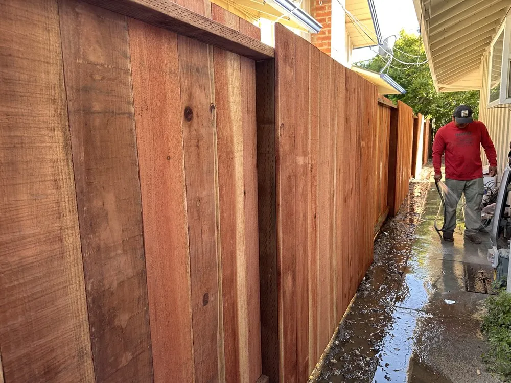 Reliable yard cleanup service in San Mateo, CA - Navarrete Brothers Landscaping
