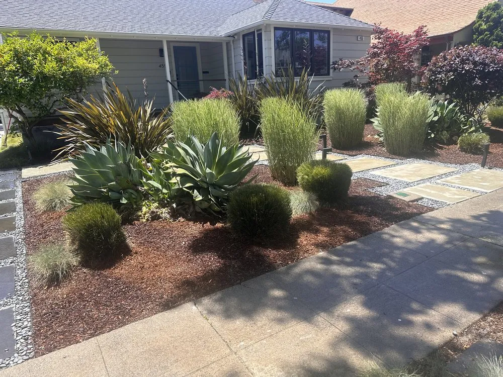 Top-rated lawn care service experts serving San Mateo, CA - Navarrete Brothers Landscaping