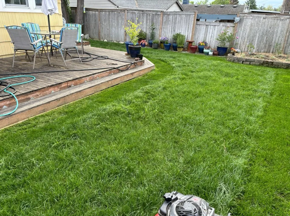 Custom landscaping services near you across Everett, WA - Navarrete Landscape Services