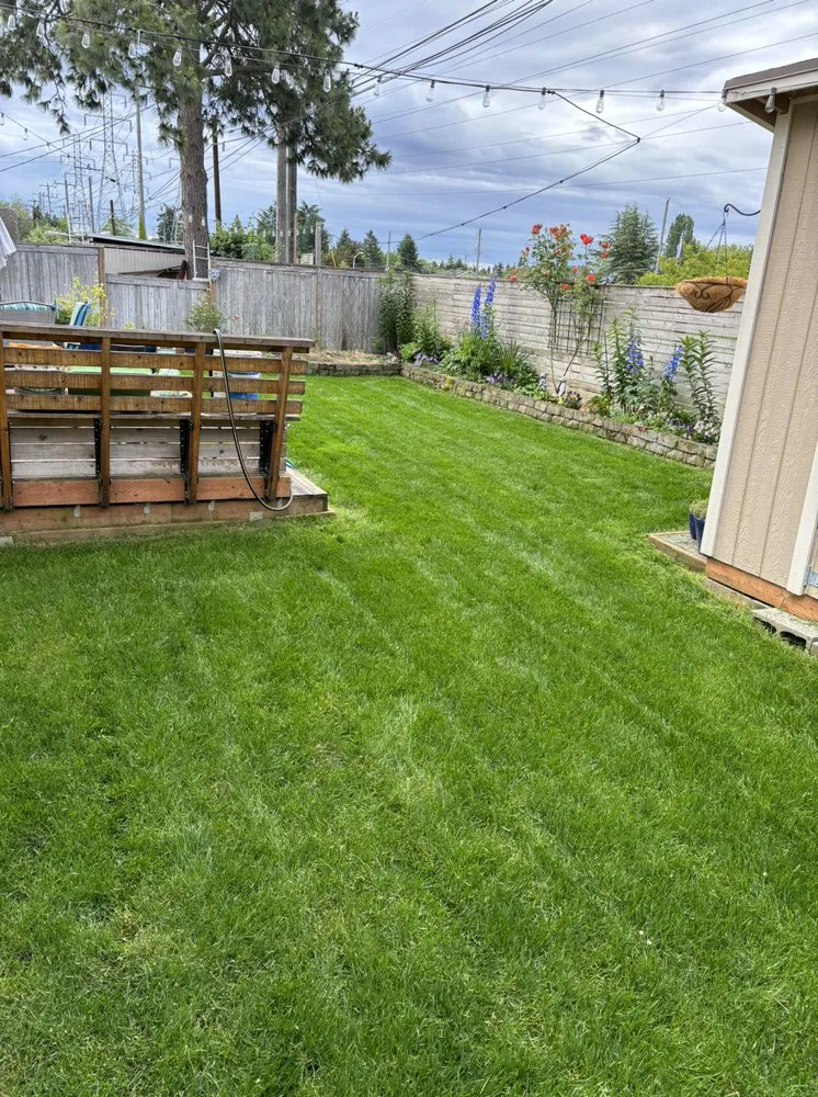 Local outdoor landscaping in Everett, WA - Navarrete Landscape Services
