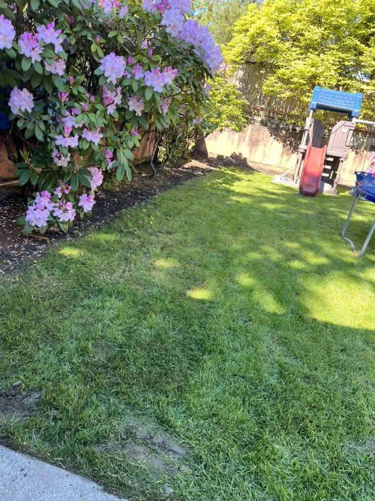 Local lawn mowing service in Everett, WA by Navarrete Landscape Services