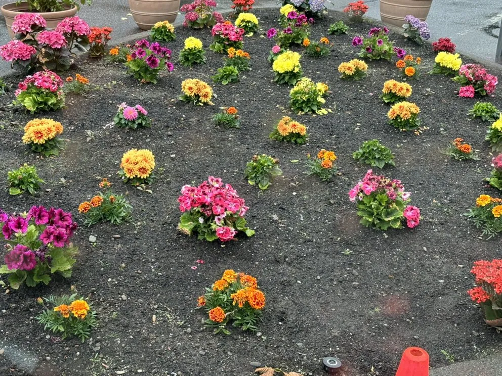 Trusted yard maintenance for homes across Everett, WA - Navarrete Landscape Services