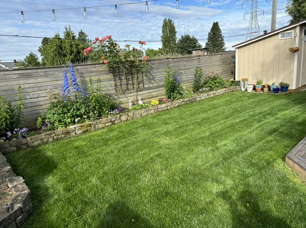 Professional yard maintenance for outdoor upgrades across Everett, WA - Navarrete Landscape Services