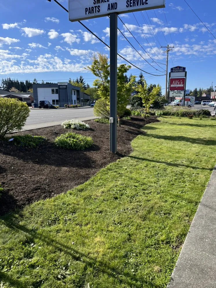Professional landscaping services for beautiful yards across Everett, WA - Navarrete Landscape Services