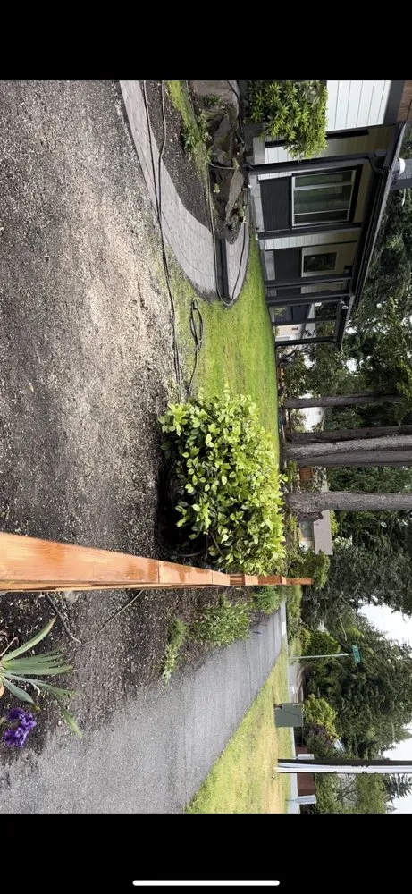 Top-rated yard cleanup service in Everett, WA by Navarrete Landscape Services