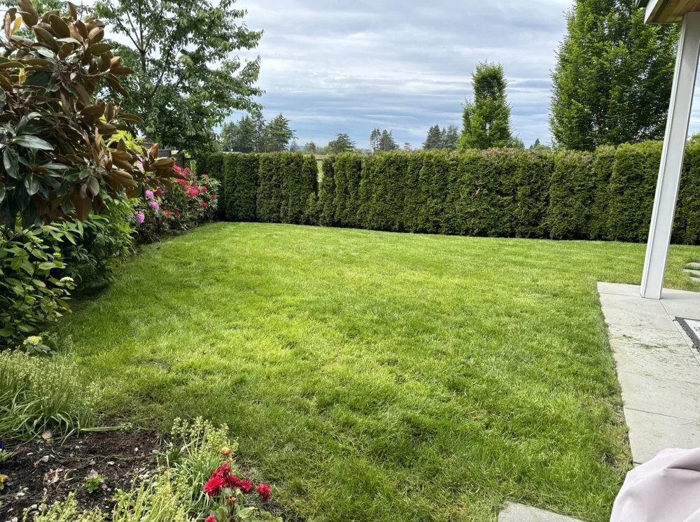 Professional landscaping services in Everett, WA - Navarrete Landscape Services