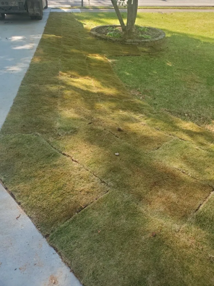 Top-rated residential landscaping experts serving Duluth, GA - Navarrete Landscaping