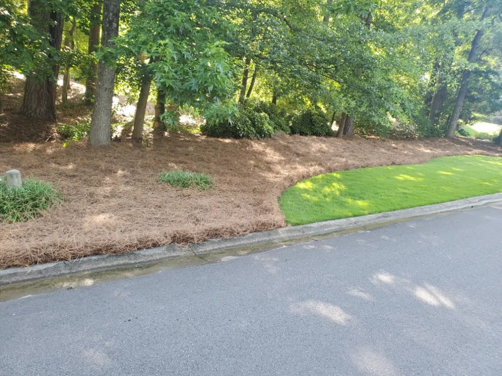 Top-rated lawn care service for homes across Duluth, GA - Navarrete Landscaping