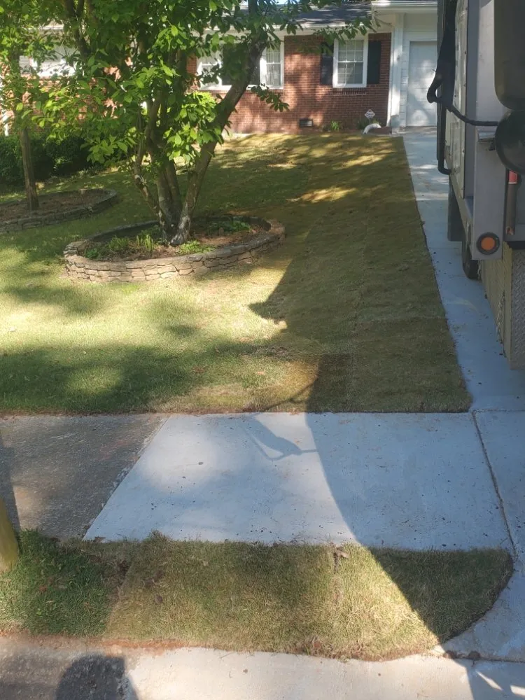 Top-rated yard maintenance for beautiful yards across Duluth, GA - Navarrete Landscaping