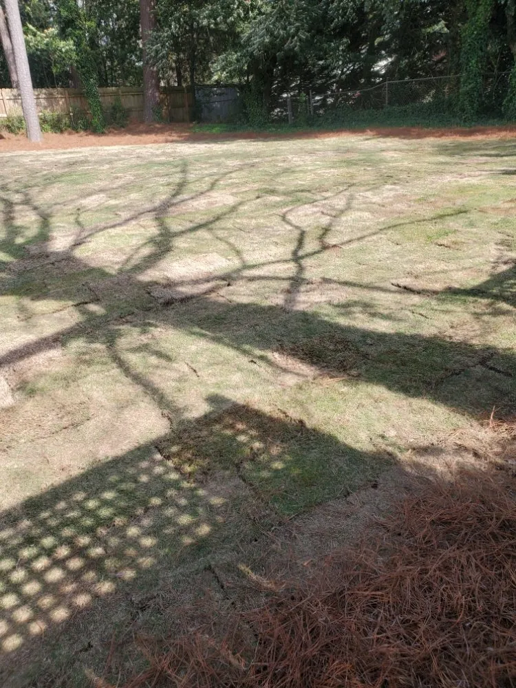 Custom yard cleanup service experts serving Duluth, GA - Navarrete Landscaping