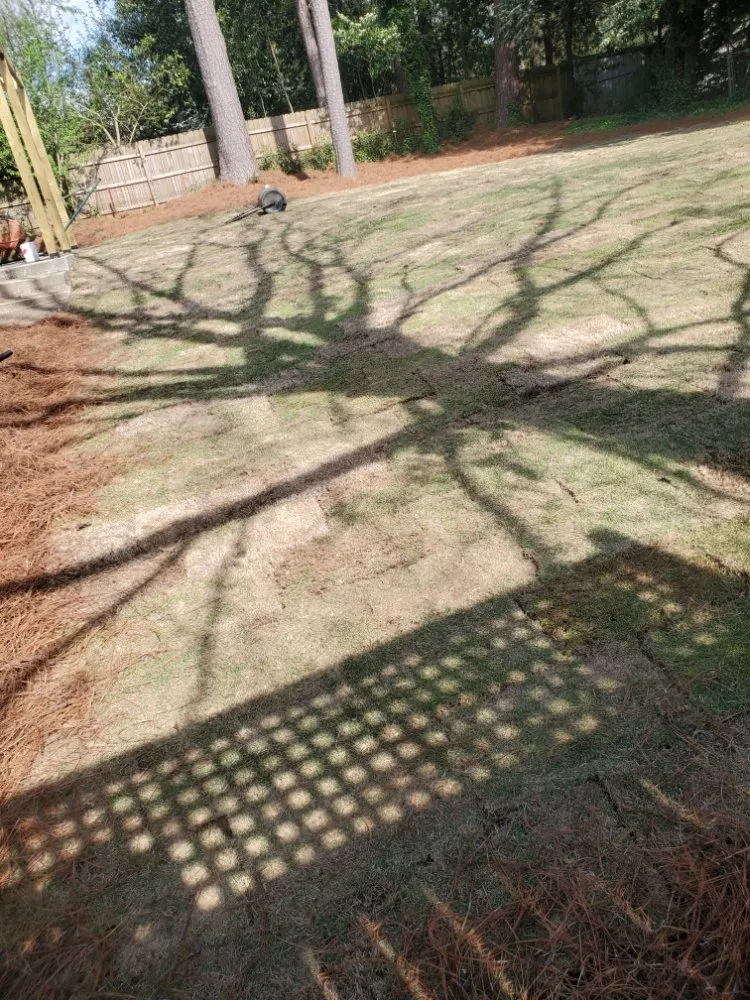 Expert lawn mowing service for homes across Duluth, GA - Navarrete Landscaping