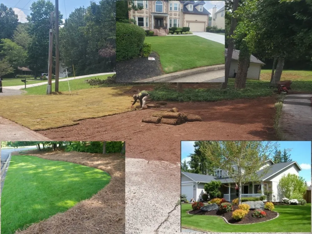 Custom yard maintenance for residential properties in Duluth, GA by Navarrete Landscaping