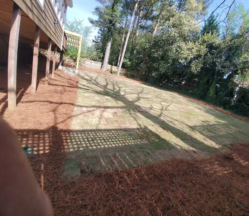 Reliable landscaping services near you in Duluth, GA by Navarrete Landscaping