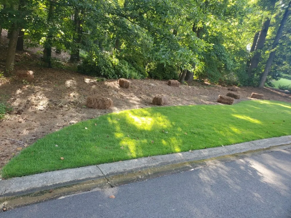 Custom landscape installation with custom design across Duluth, GA - Navarrete Landscaping