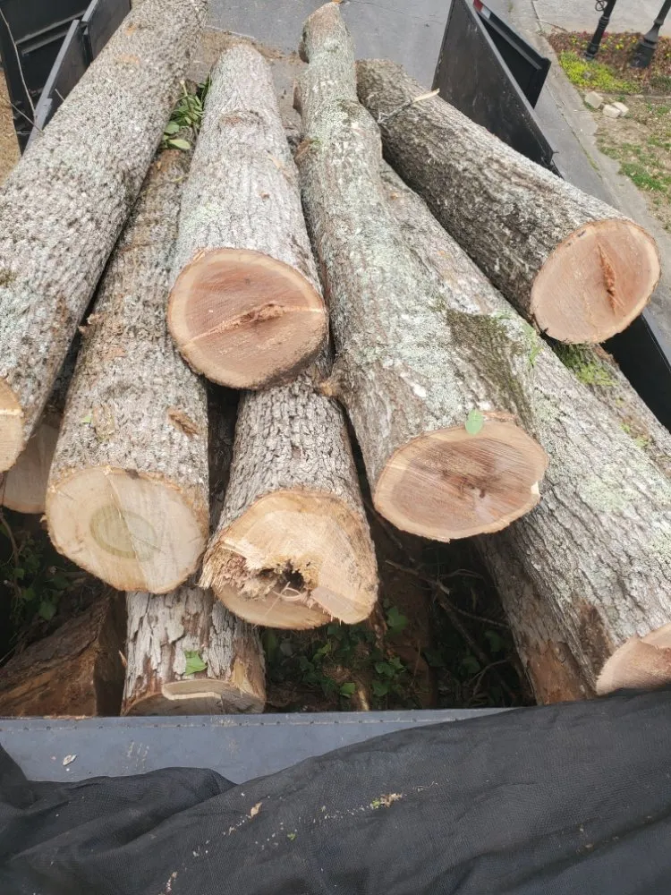 Reliable yard maintenance in Duluth, GA by Navarrete Landscaping