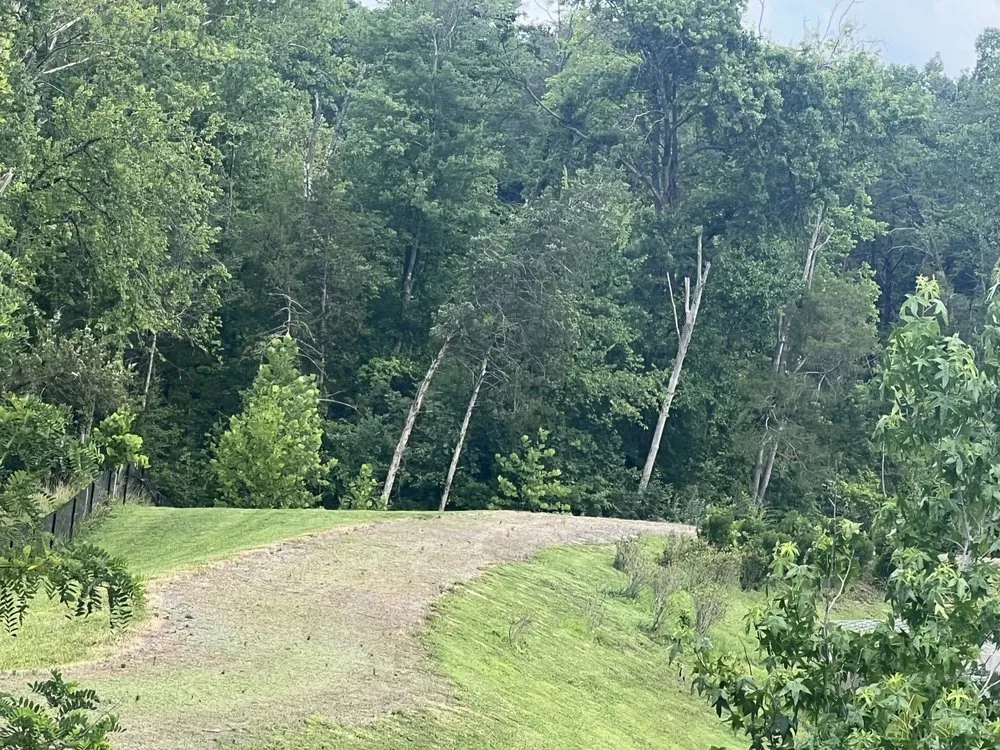 Expert outdoor landscaping in Manassas, VA - Navarrete Lawnscaping