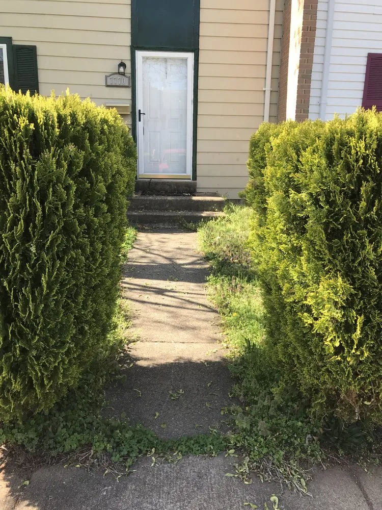 Reliable landscape design in Manassas, VA by Navarrete Lawnscaping