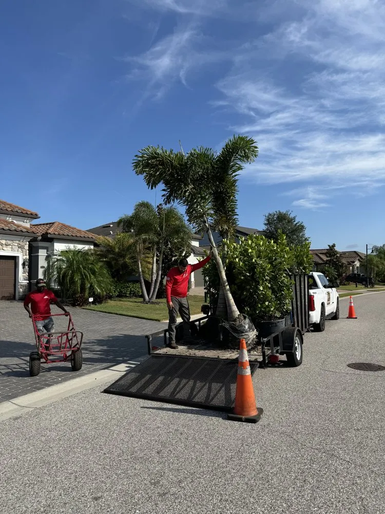 Local outdoor landscaping for year-round maintenance across Bradenton, FL - Navarro Landscape Services