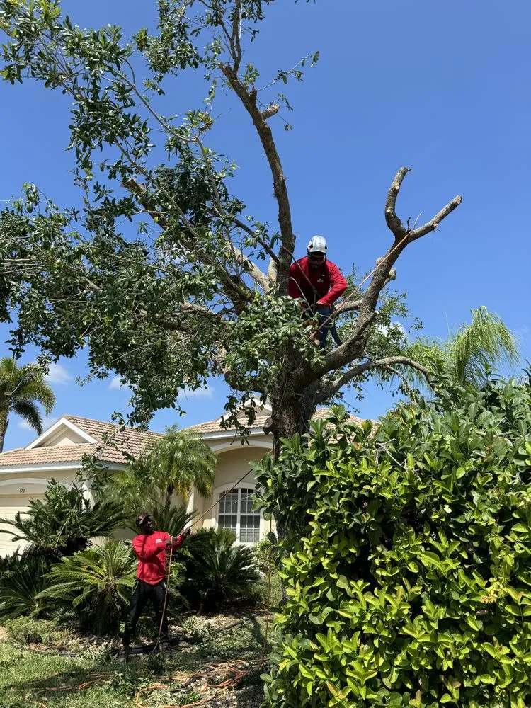 Trusted outdoor landscaping in Bradenton, FL by Navarro Landscape Services