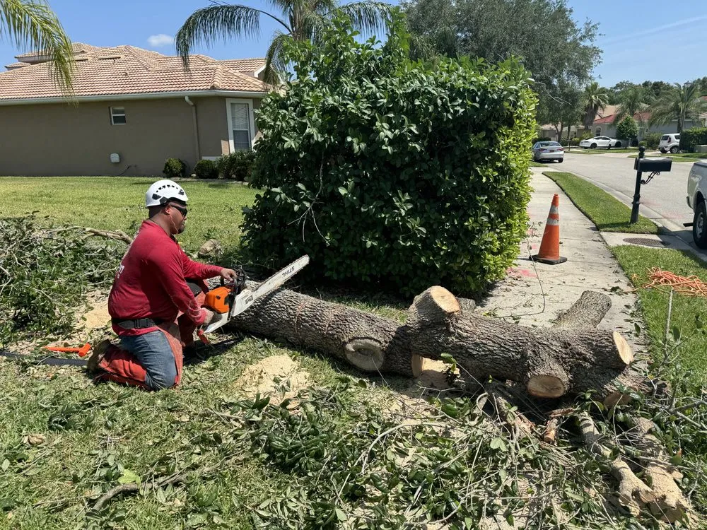 Affordable landscape installation in Bradenton, FL by Navarro Landscape Services