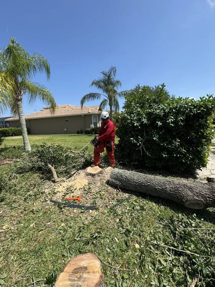 Expert yard cleanup service in Bradenton, FL by Navarro Landscape Services