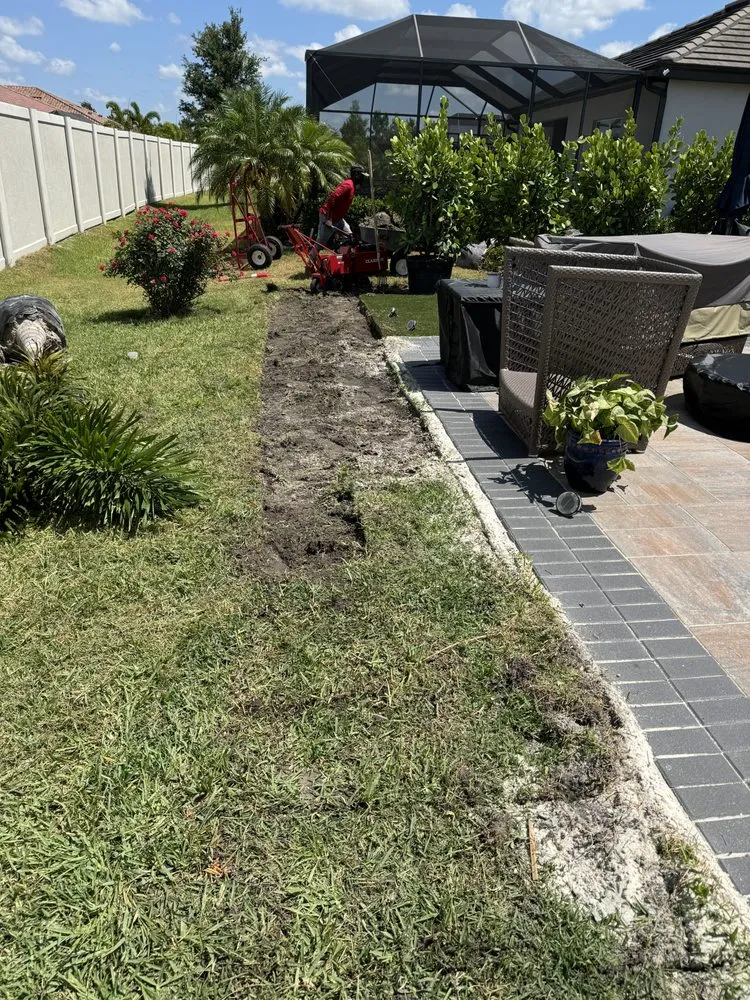 Affordable yard cleanup service experts serving Bradenton, FL - Navarro Landscape Services