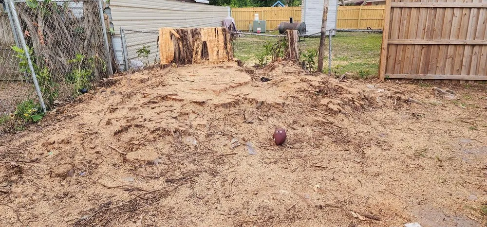 Reliable outdoor landscaping in Bradenton, FL by Navarro Landscape Services