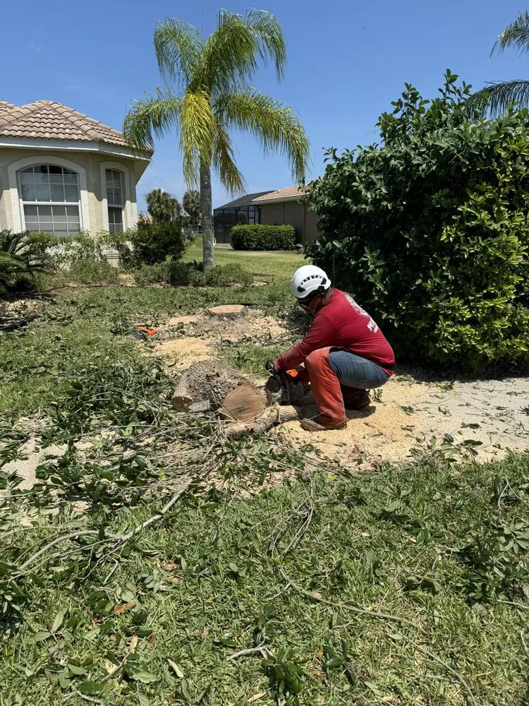 Professional yard maintenance for outdoor upgrades in Bradenton, FL by Navarro Landscape Services