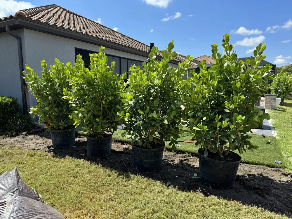 Custom outdoor landscaping in Bradenton, FL - Navarro Landscape Services