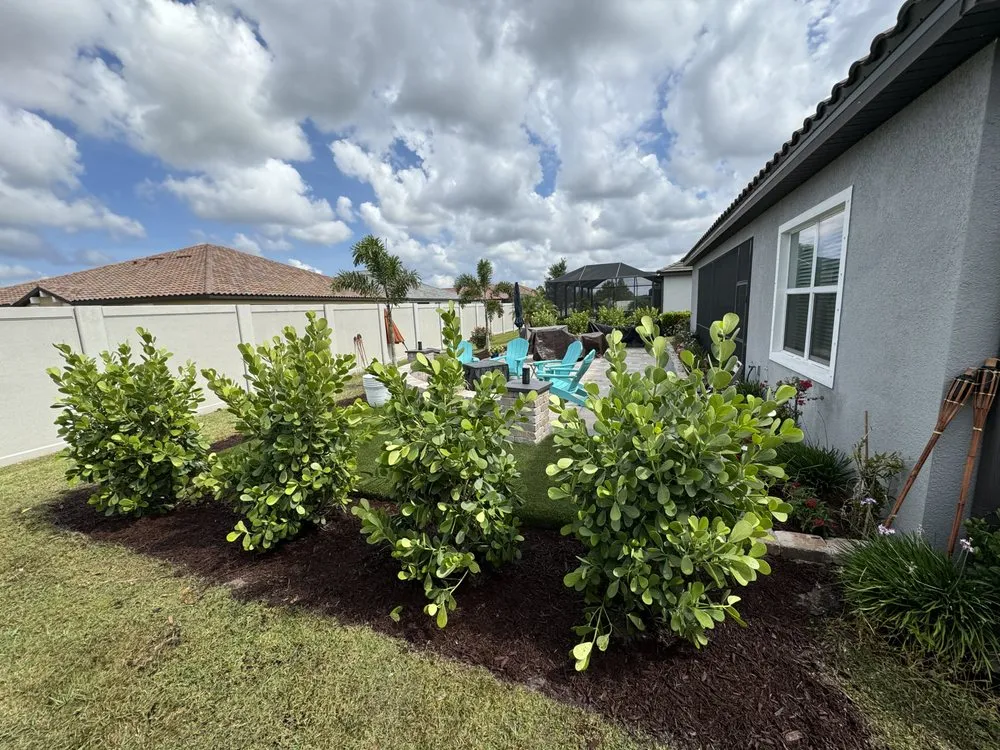 Professional lawn care service in Bradenton, FL - Navarro Landscape Services