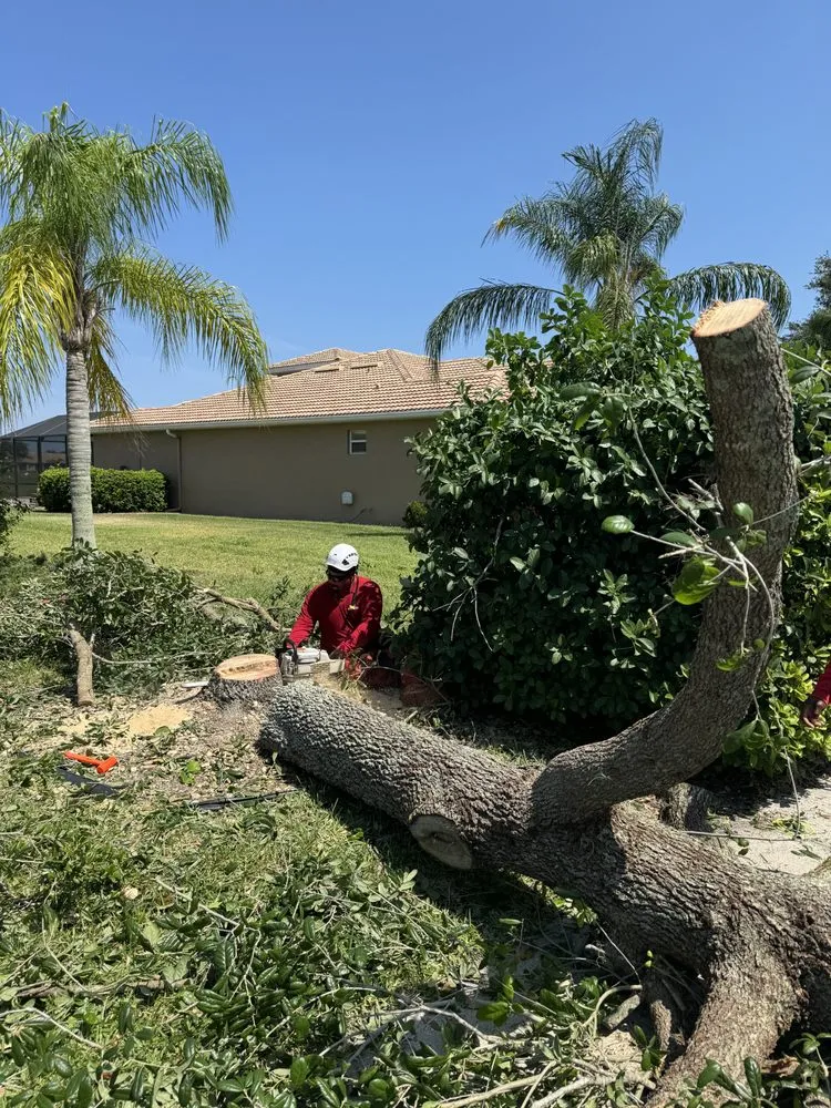 Custom yard maintenance in Bradenton, FL - Navarro Landscape Services