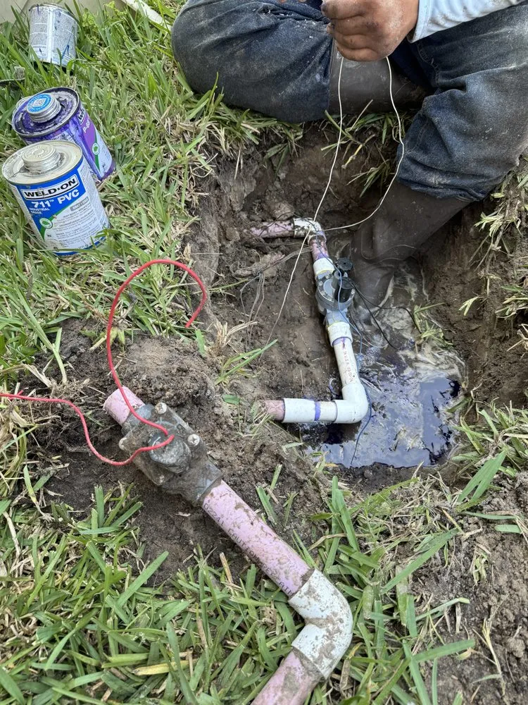 Expert yard cleanup service experts serving Bradenton, FL - Navarro Landscape Services