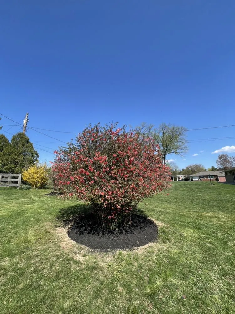 Trusted lawn care service experts serving Frederick, MD - Navarro Landscaping & Home Improvement