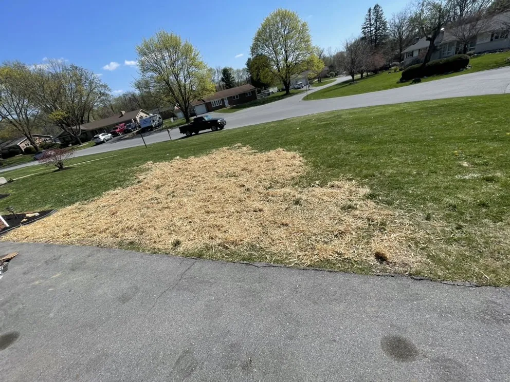 Affordable lawn care service experts serving Frederick, MD - Navarro Landscaping & Home Improvement