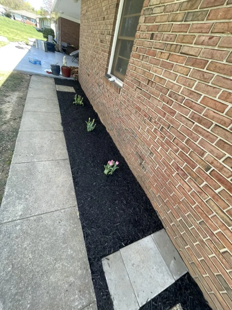 Professional lawn care service near you in Frederick, MD by Navarro Landscaping & Home Improvement