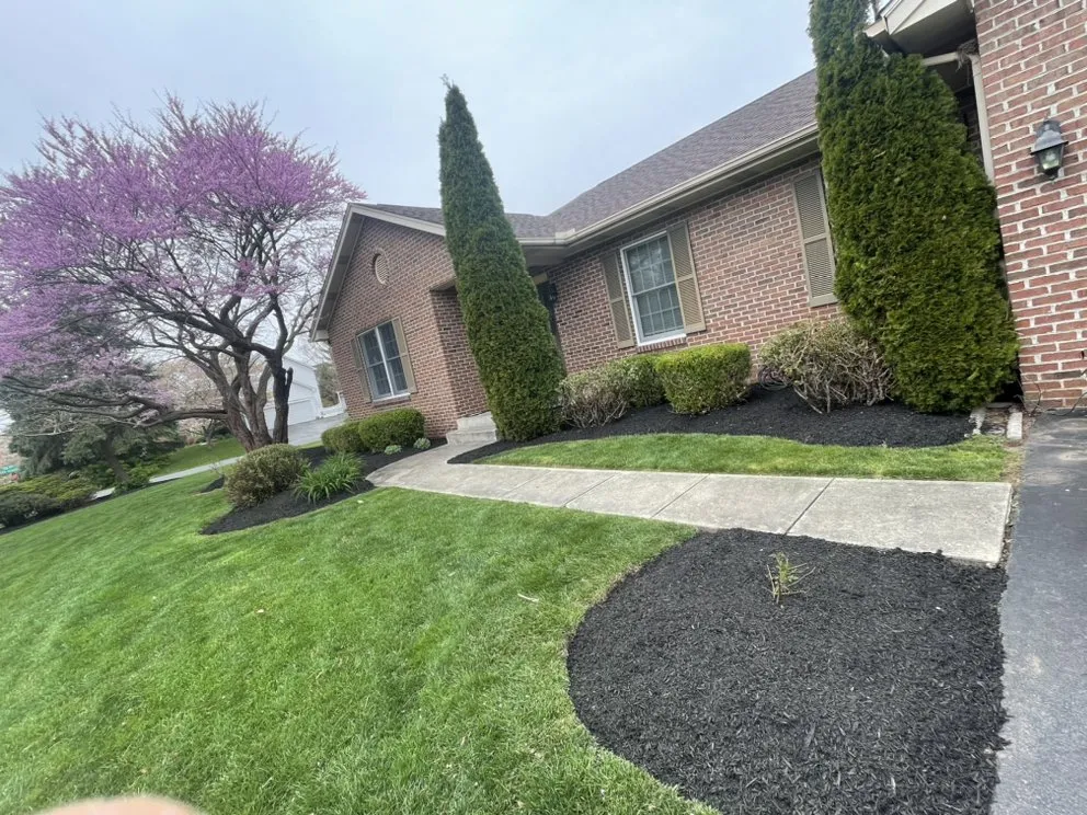 Local landscaping services experts serving Frederick, MD - Navarro Landscaping & Home Improvement