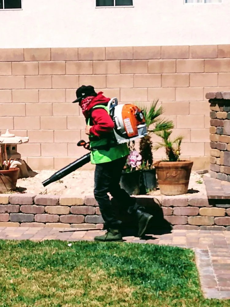 Local landscaping services in Las Vegas, NV by Navarro Landscaping
