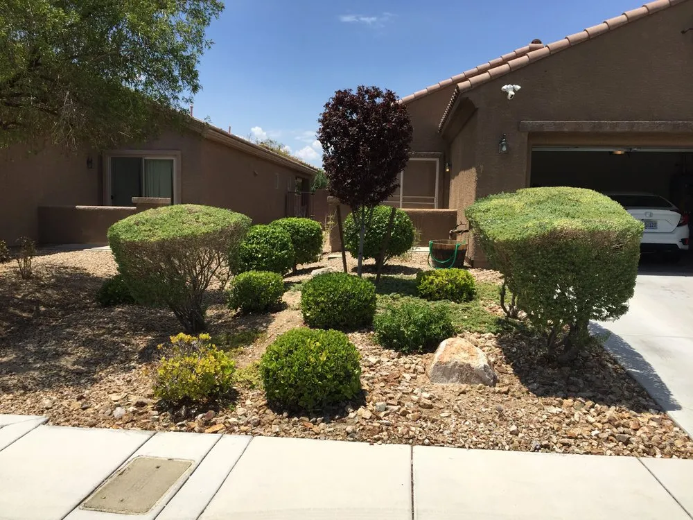 Top-rated garden landscaping for homes across Las Vegas, NV - Navarro Landscaping