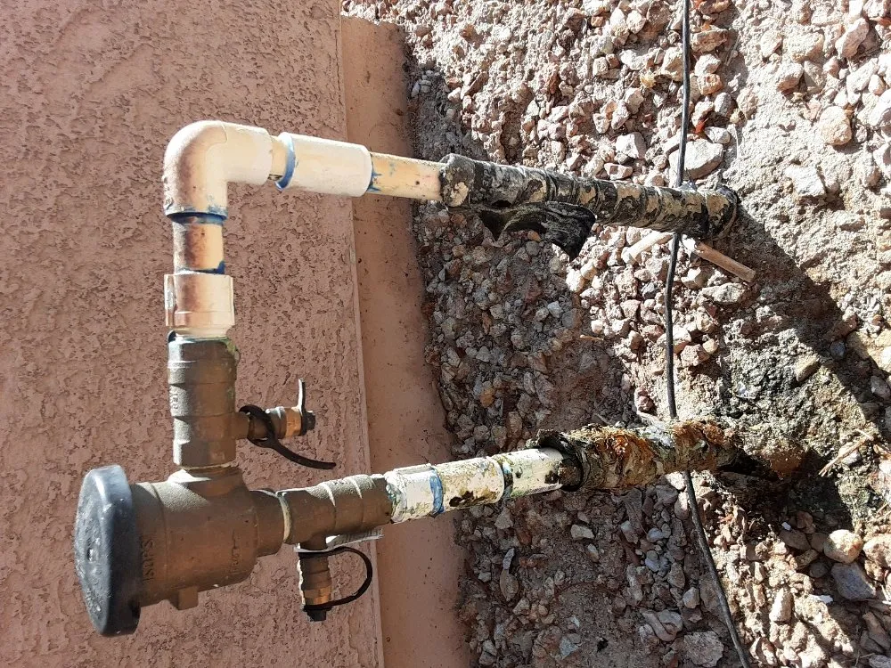 Expert lawn care service for year-round maintenance in Las Vegas, NV by Navarro Landscaping