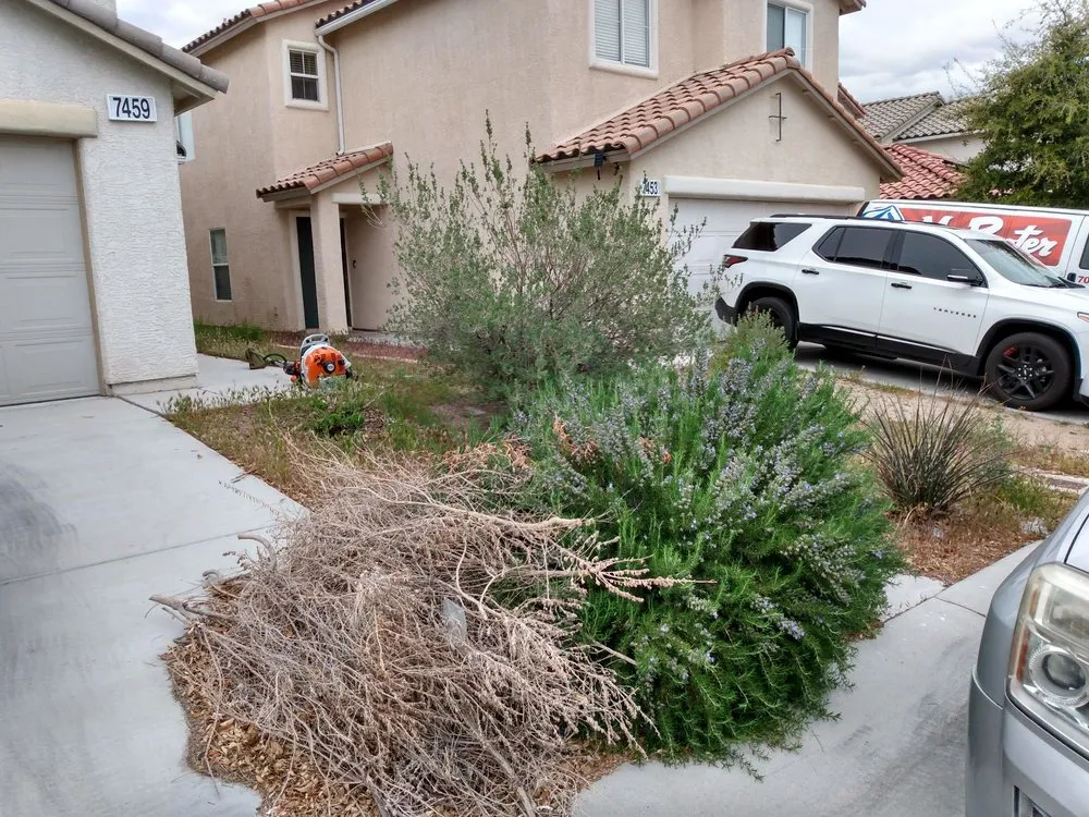 Affordable landscape installation in Las Vegas, NV - Navarro Landscaping