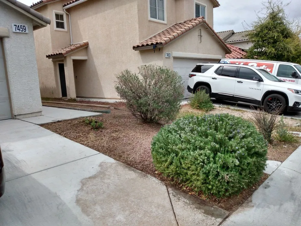 Expert landscape installation experts serving Las Vegas, NV - Navarro Landscaping