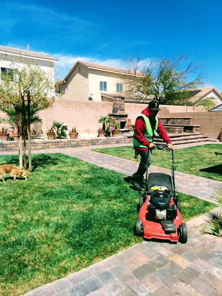 Professional landscaping services experts serving Las Vegas, NV - Navarro Landscaping