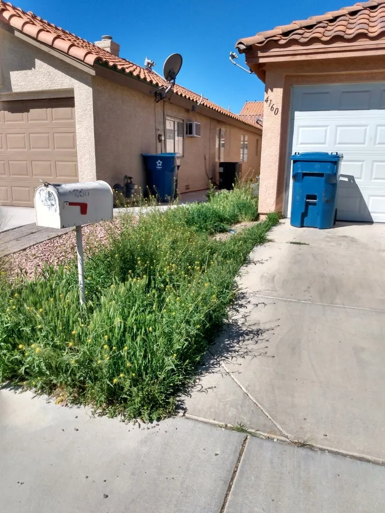 Top-rated lawn mowing service near you in Las Vegas, NV by Navarro Landscaping